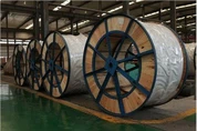 EHS Galvanized Steel Core Wire