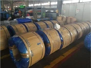 Patented Phosphated Steel Wire for Drawing